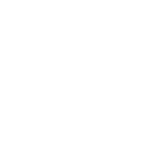 Weiße Tanzschuhe mit Absatz für Erwachsene